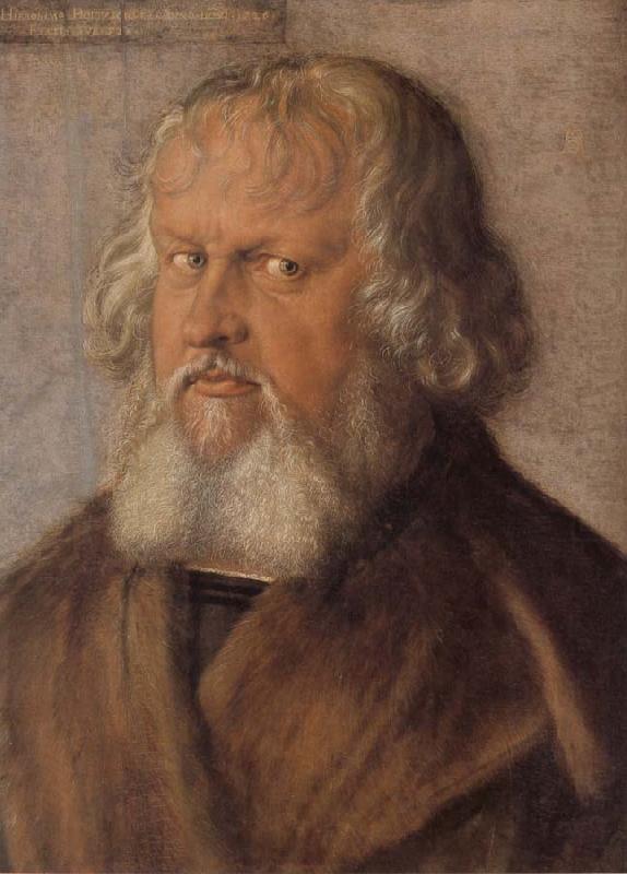 Albrecht Durer Hieronymus Holzschuher china oil painting image